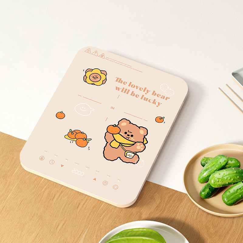 Podwójne strefy grzewcze induk – Hot Pot Portable Dual recenzja i cena