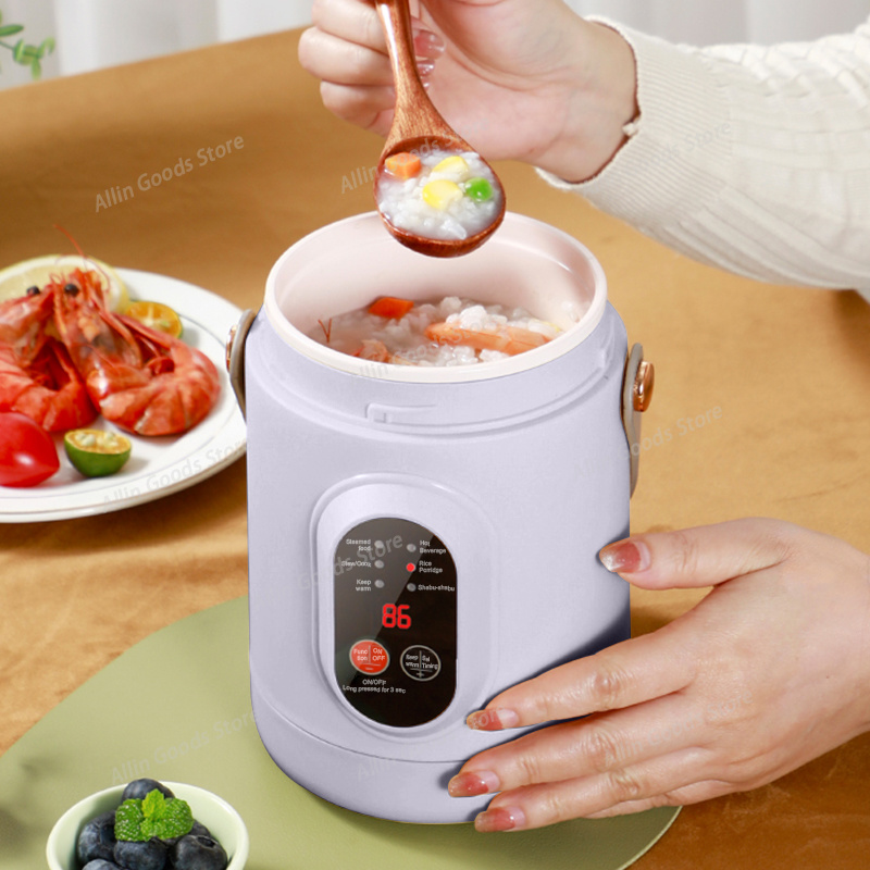 Przenośny, wielofunkcyjny mini – Hot Pot Portable Dual recenzja i cena